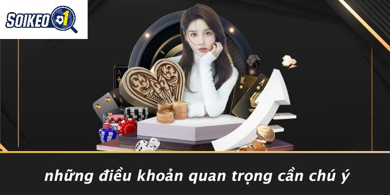 Những Điều Khoản Quan Trọng Cần Chú Ý
